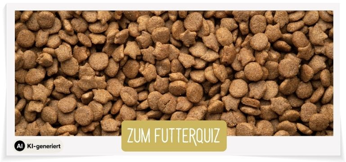 Zum Futterquiz