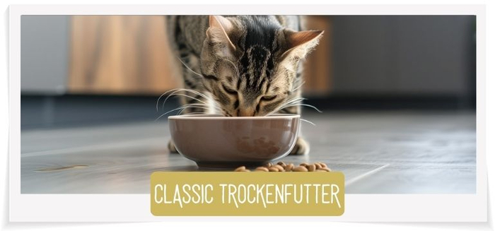 Trockenfutter Wildcat
