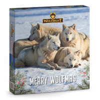 Adventskalender 2026