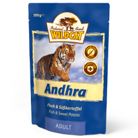Andhra Fisch & Süßkartoffel