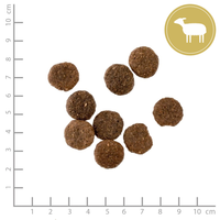 Native Lamb
